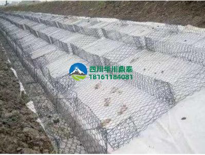 雙隔板雷諾護(hù)墊